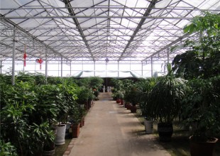 溫室大棚修護(hù)要注意什么？